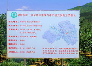 技術推廣服務中心 連接創(chuàng)新與市場的橋梁